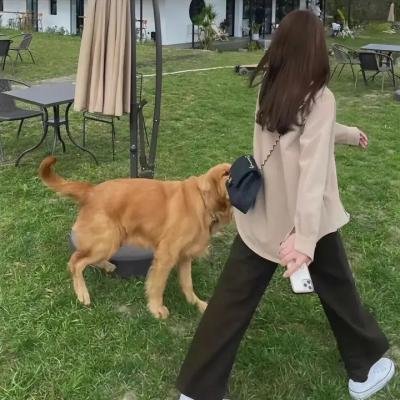 对付弱者